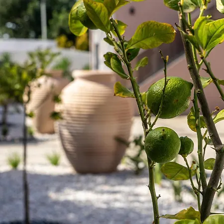 La Reve Luxury Aparthotel Hersonissos (Crete)